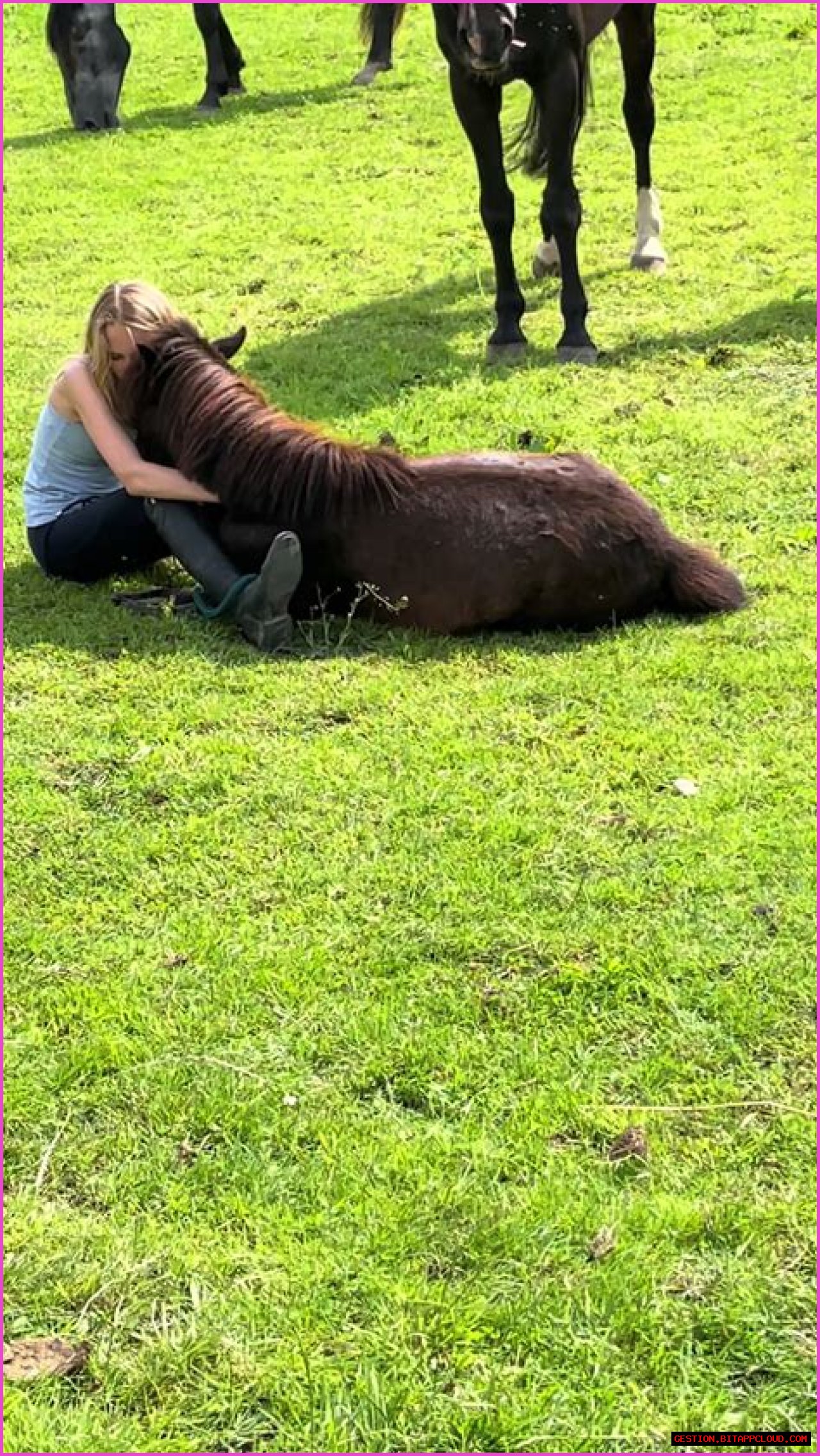Exploring The Life And Journey Of Casper Henderson Stockwell